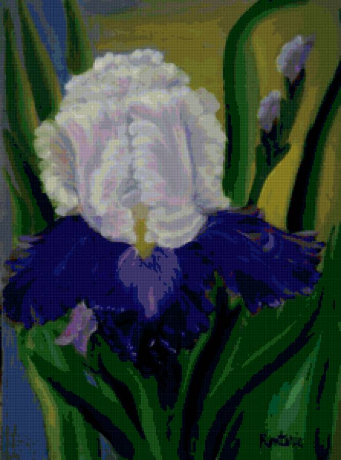 №77182 - цветы, живопись, ирисы - предпросмотр