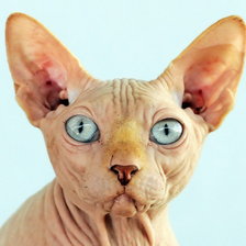 Схема вышивки «№77225»