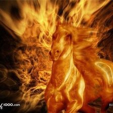 огненый конь