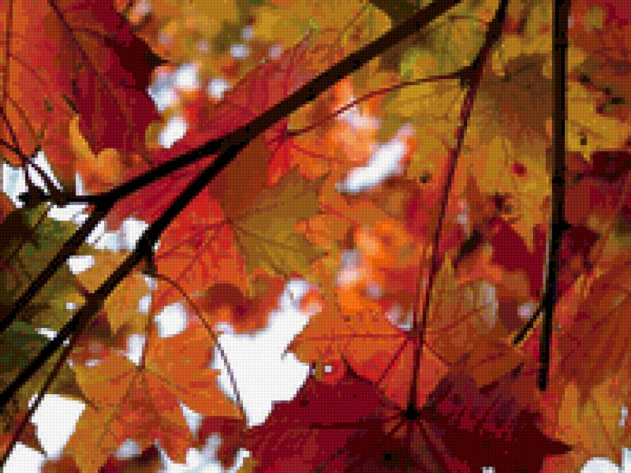 осень - осень - предпросмотр