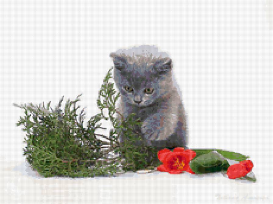 серия "животные" - животные. кошка.елка.цветы - предпросмотр