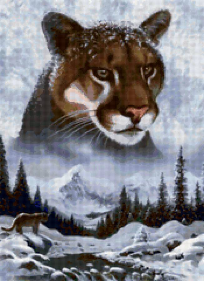 серия "животные" - животные. пумы - предпросмотр