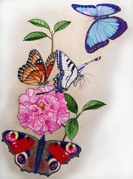 №77482 - цветок, бабочки, насекомые - оригинал