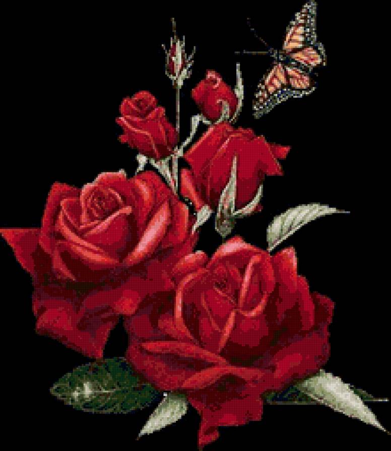 красные розы - цветы - предпросмотр