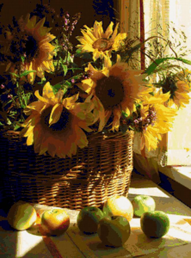 Подсолнухи и яблоки - подсолнух, полевые цветы, цветы, яблоки, подсолнухи - предпросмотр