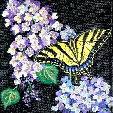 Бабочка и сирень - природа, сирень, бабочка, душистая сирень, цветы, пейзаж - оригинал