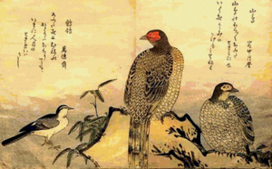 китай - предпросмотр