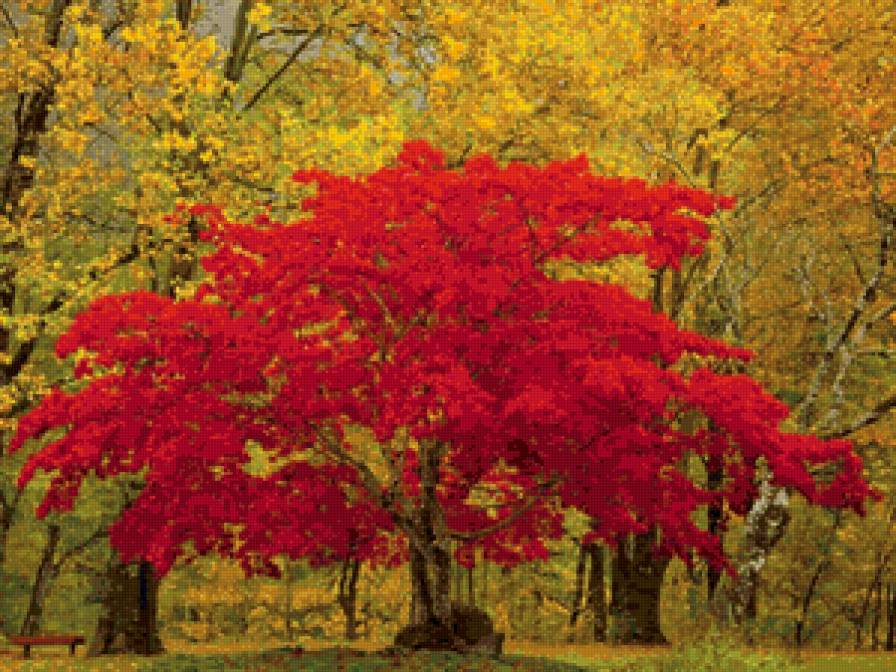 Природа - природа - предпросмотр