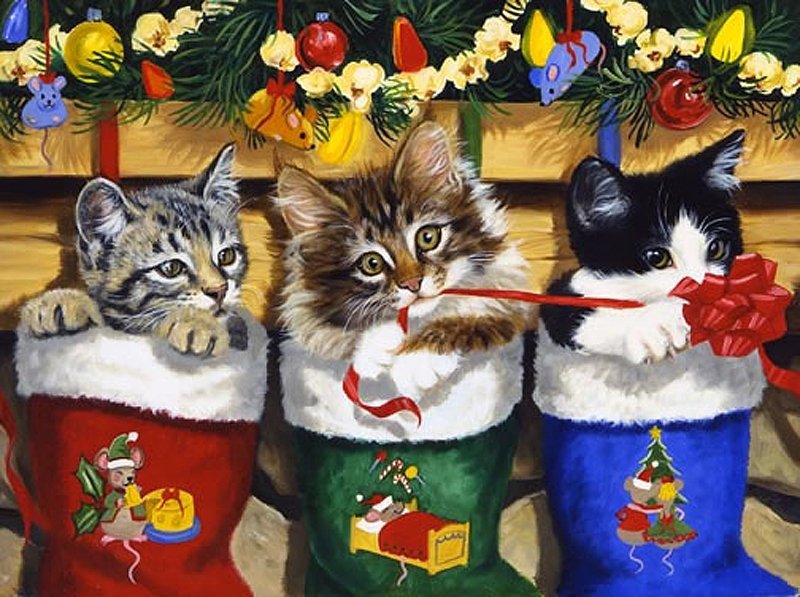 котята - котики, кошки, кошка, животные, новый год, коты, картина - оригинал