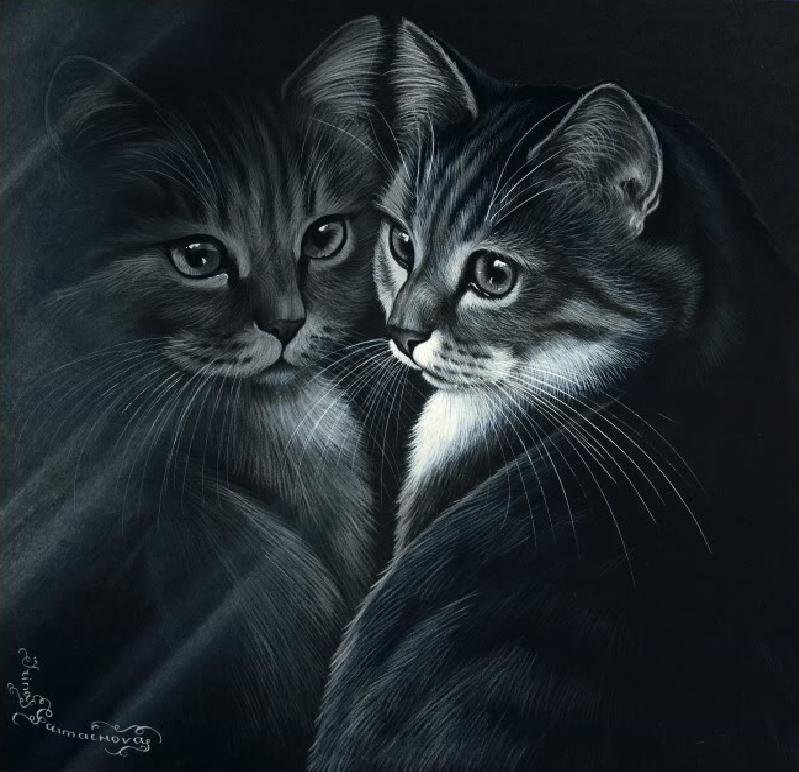 котик - кошка, черно-белое, картина, коты, животные, кошки - оригинал