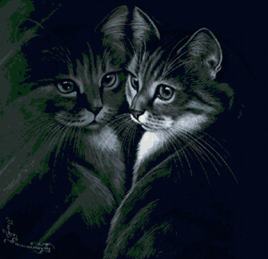 котик - кошки, кошка, животные, картина, коты, черно-белое - предпросмотр