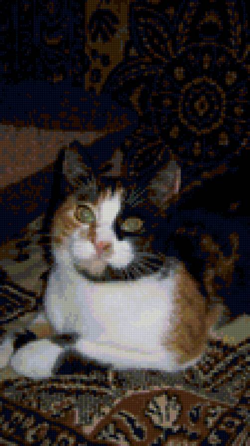 Моя Кошка - предпросмотр