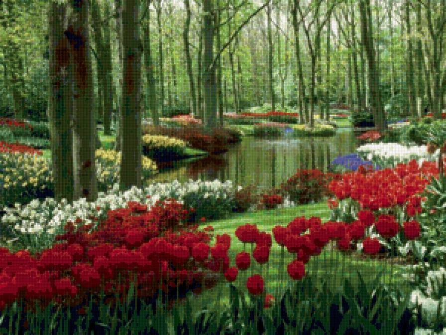 №78278 - природа - предпросмотр