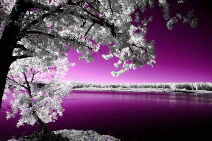 №78283 - природа - оригинал