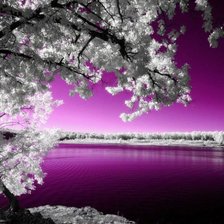 Схема вышивки «№78283»