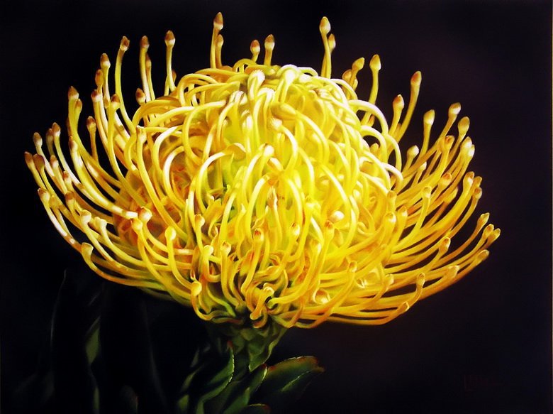 №78325 - на черном, цветы, живопись - оригинал