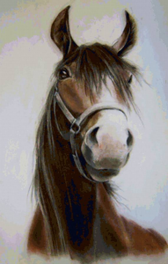 Конь - конь, животные, лошадь - предпросмотр