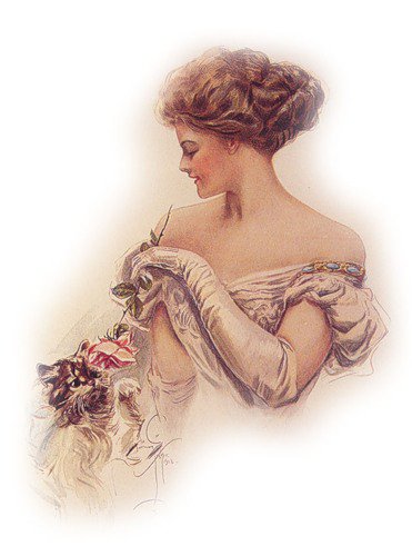 Серия "Портрет" - девушка, кошки, цветы, животные, розы - оригинал