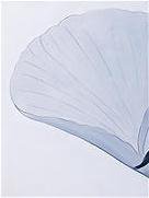 триптих 1ч - триптих - оригинал