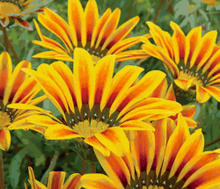 Три цвета лета - предпросмотр