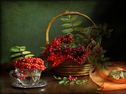 Рябина - натюрморт с рябиной - оригинал