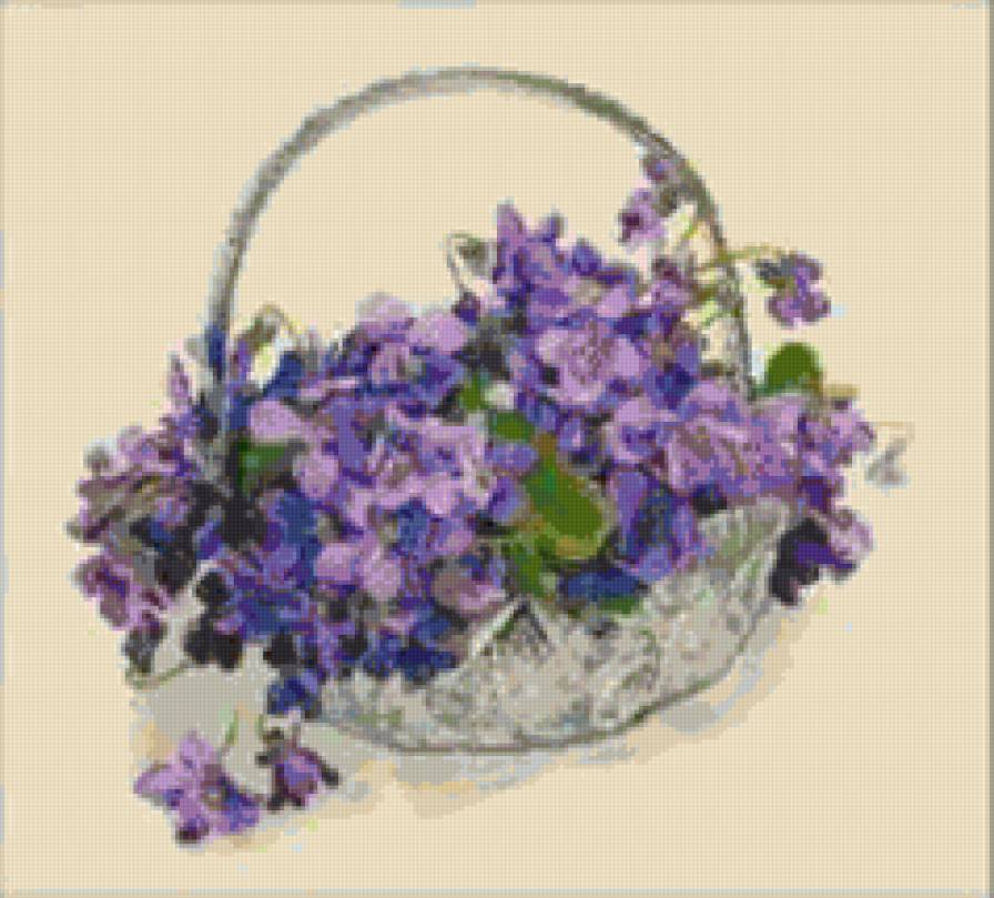 Фиалки - цветы - предпросмотр