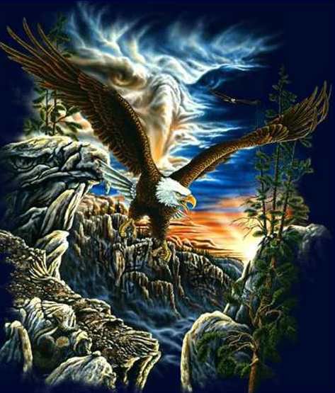 орел - хищники, птицы - оригинал