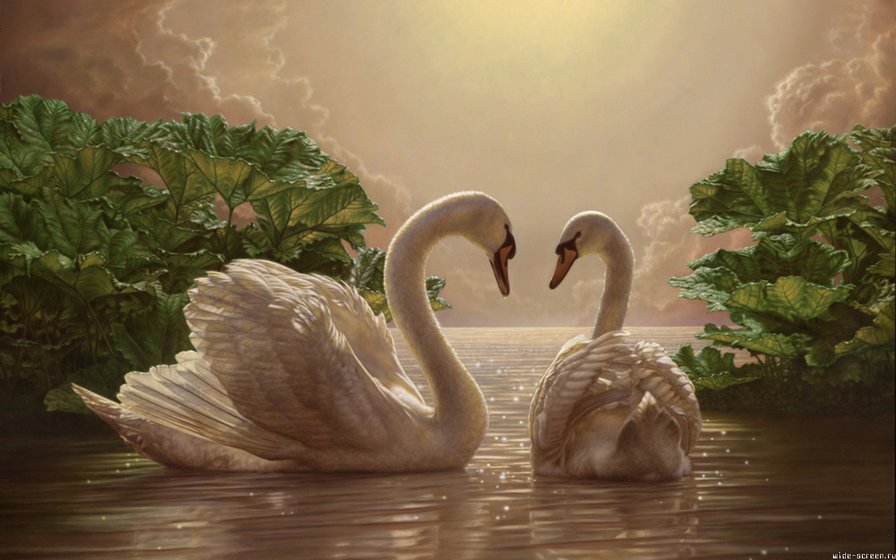 лебеди 2 - оригинал