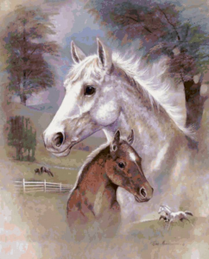 лошадки - кони, животные, лошади - предпросмотр