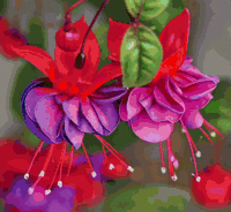 цветы - предпросмотр