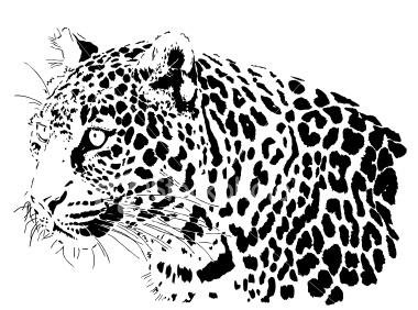 №79197 - оригинал