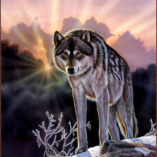 Оригинал схемы вышивки «Волк» (№79261)