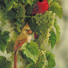 Схема вышивки «кардиналы на винограде»