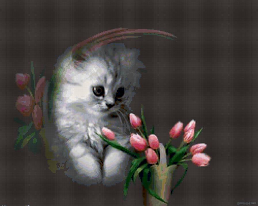 с цветами - котенок, тюльпаны., цветы - предпросмотр