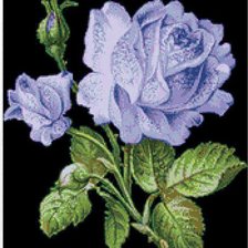 Схема вышивки «Подушка "Голубая роза"»