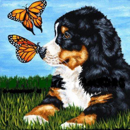 щенок и бабочки - щенок, собака, бабочка - оригинал