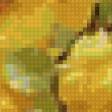 Предпросмотр схемы вышивки «Желтые розы» (№79635)
