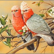 Оригинал схемы вышивки «попугаи на ветке» (№79640)