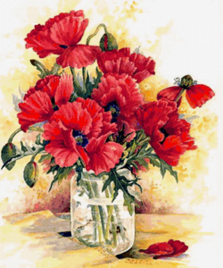 красные восточные маки в банке - букет, мак, цветы - предпросмотр