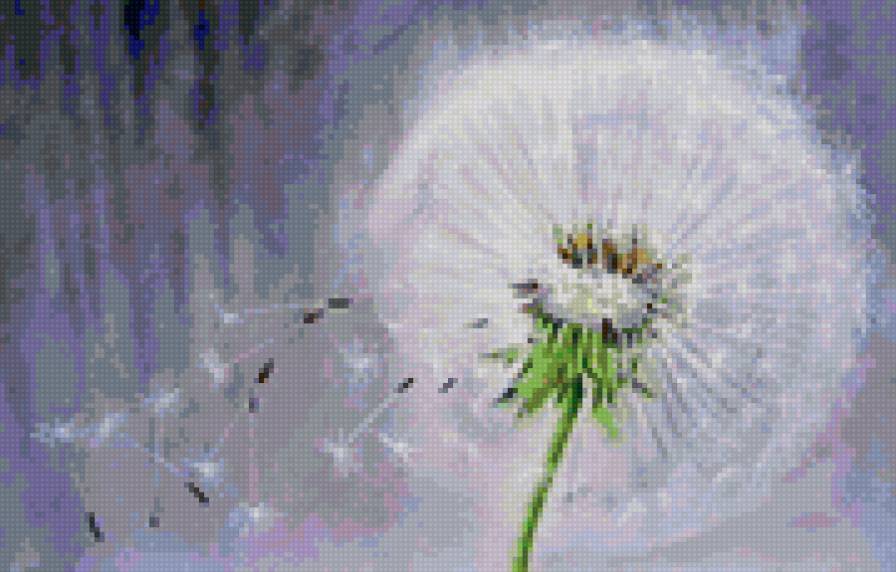 одуванчик - предпросмотр