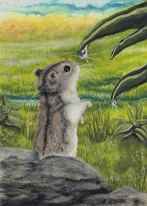 Хомушка - зелень, роса, утро, хомяк - оригинал