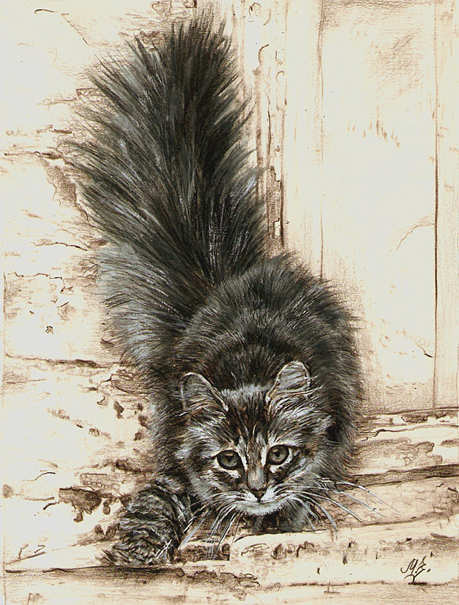 Кошечка - кошка, картина - оригинал