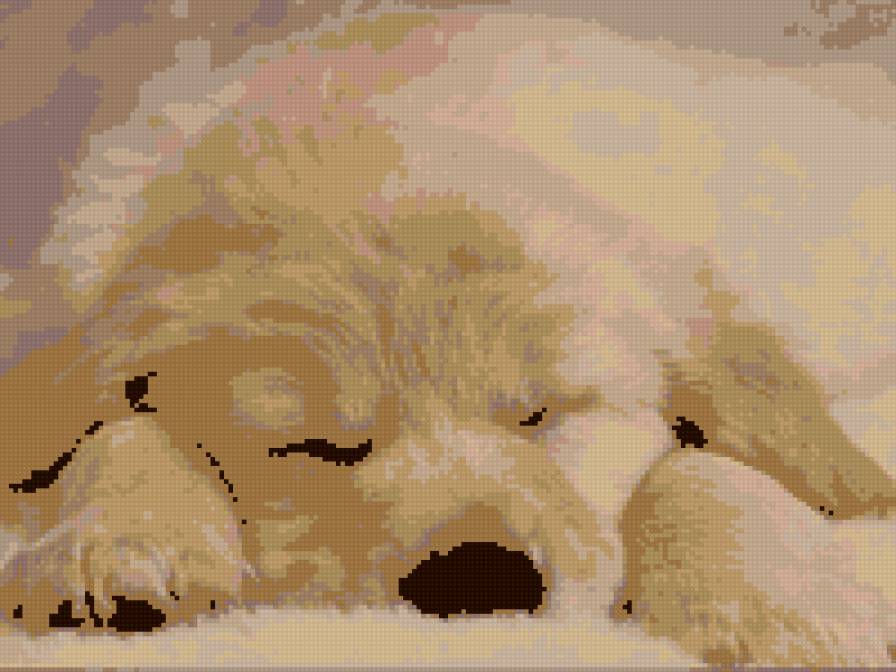 милый - так, просто - предпросмотр