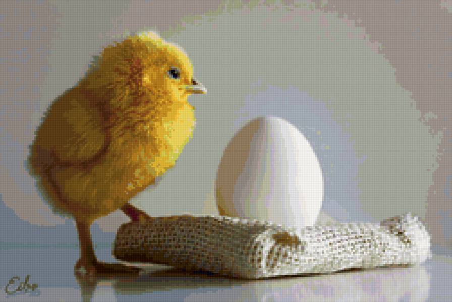 цыпа - птицы - предпросмотр