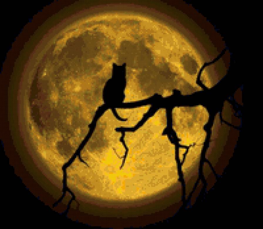 Кот на луне - животные - предпросмотр