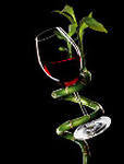 Схема вышивки «бокал с вином»