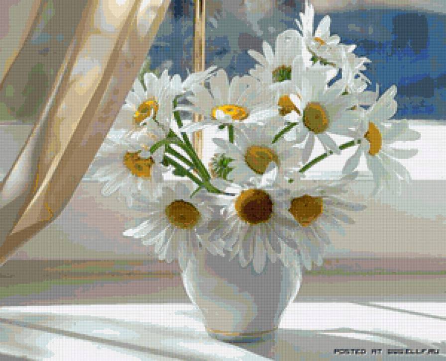 ромашки - цветы - предпросмотр