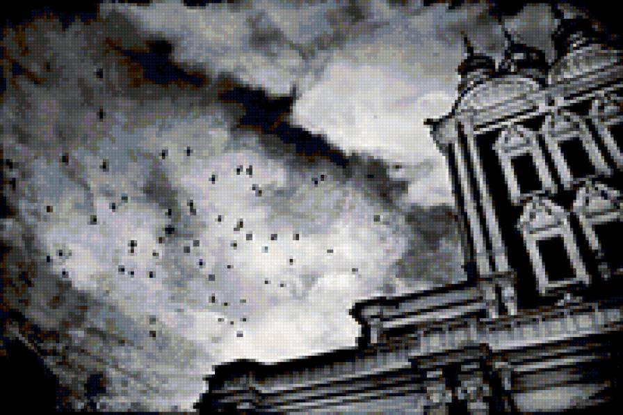 №80128 - предпросмотр