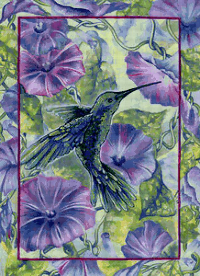 №80249 - колибри, цветы - предпросмотр