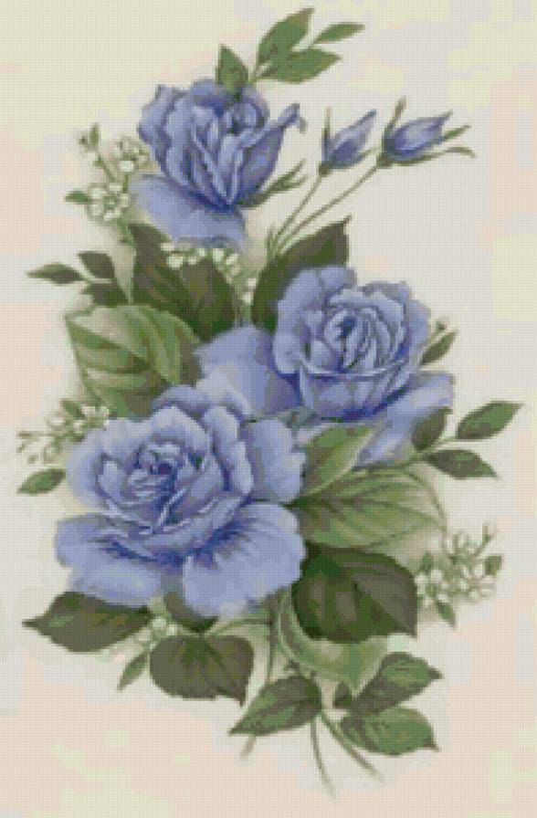 синие розы - цветы, розы - предпросмотр